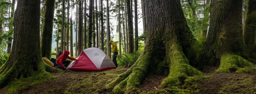 Wybór idealnego namiotu na kemping – uniknij najczęstszych błędów