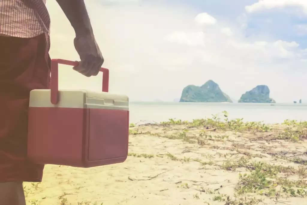 Jaka lodówka na kemping? Wybierz idealny model dla siebie!